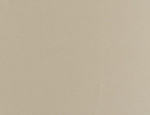 Tkanina Ridex Universe 03 Plain ze wzorem Płótno