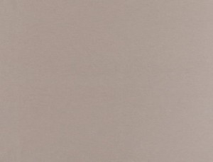 Tkanina Ridex Universe 04 Plain ze wzorem Płótno