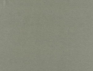 Tkanina Ridex Universe 06 Plain ze wzorem Płótno