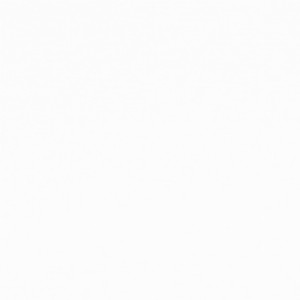 Tkanina Camengo Nikko 41970107 Nikko ze wzorem Płótno