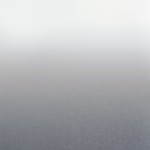 Tkanina Camengo Totem Sheers 44960213 Kisos ze wzorem Gradient