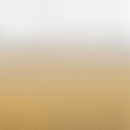 0eda9ccb5341fb74ca03f0159bd1b1c4