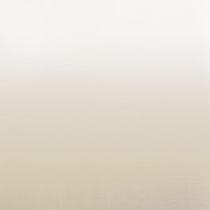 Tkanina Camengo Totem Sheers 44960530 Kisos ze wzorem Gradient