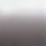 Tkanina Camengo Totem Sheers 44960650 Kisos ze wzorem Gradient