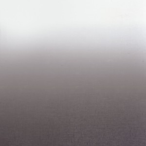 Tkanina Camengo Totem Sheers 44960650 Kisos ze wzorem Gradient