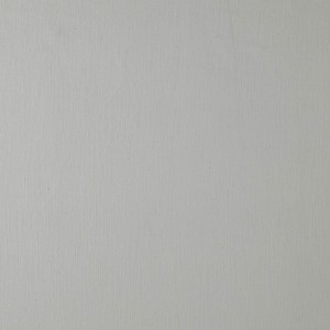 Tkanina Camengo Naturellement 26660126 Newton ze wzorem Płótno