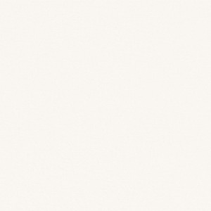 Tkanina Camengo Naturellement 44430183 Velouté ze wzorem Płótno