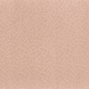 Tkanina Camengo Nouvelle Orleans 46790222 Tiana ze wzorem Linia Tonalna