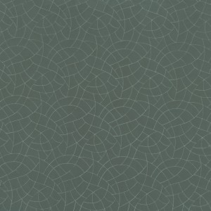 Tkanina Camengo Nouvelle Orleans 46790350 Tiana ze wzorem Linia Tonalna