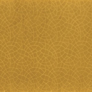 Tkanina Camengo Nouvelle Orleans 46790693 Tiana ze wzorem Linia Tonalna