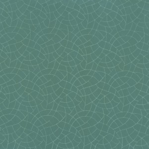 Tkanina Camengo Nouvelle Orleans 46790735 Tiana ze wzorem Linia Tonalna