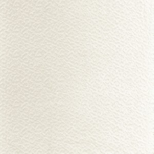 Tkanina Camengo Originelle 36060146 Smooth ze wzorem Tekstura