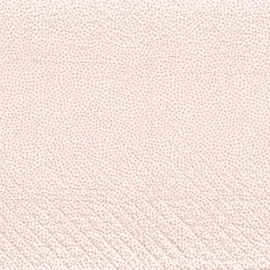 Tkanina Camengo Rose & Nino 45520161 Passionné ze wzorem Kwiatuszki