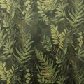 vadain-forest-320-1.jpg