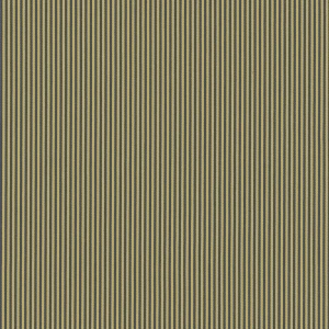 Tkanina Kvadrat 0012 Two ze wzorem Paski