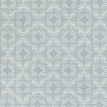 Tkanina Sarouk 05 Kashi ze wzorem Tekstura