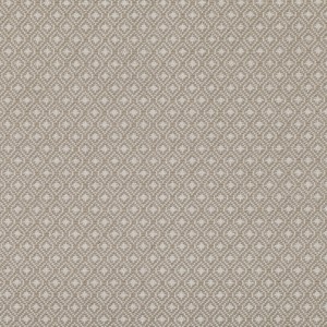 Tkanina Tremont 01 Ennis ze wzorem Tekstura