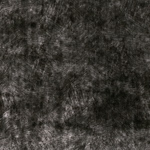 Tkanina Black Edition Inachi 02 Koto ze wzorem Tekstura