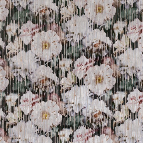 02acff7fb79c6f1005f4844cd4e0010b