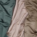 10a10317869054d8e9b6241a5c1b0966