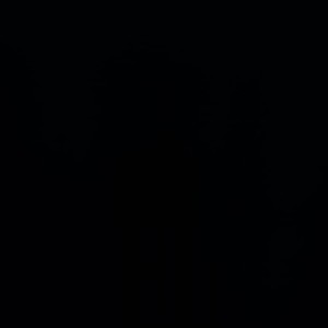 Tkanina Casamance - Camengo Coulisse Black 42791233