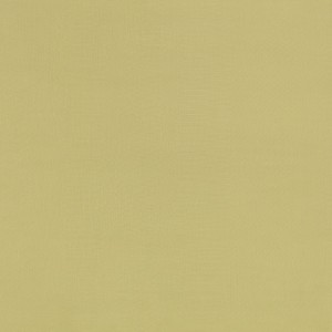 Tkanina kirkbydesign 19 Aloe ze wzorem Płótno
