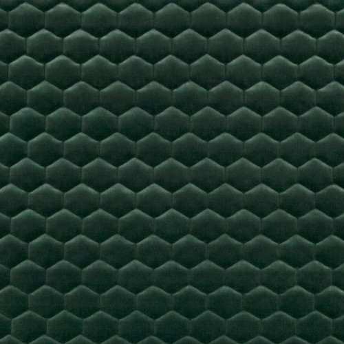 K5149-48-cloud-evergreen_01.jpg