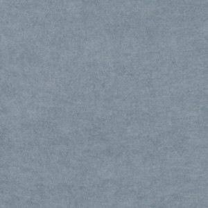 Tkanina kirkbydesign 102 Crush III ze wzorem Płótno