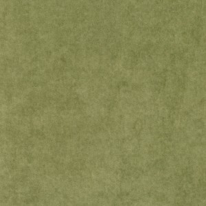 Tkanina kirkbydesign 164 Crush III ze wzorem Płótno