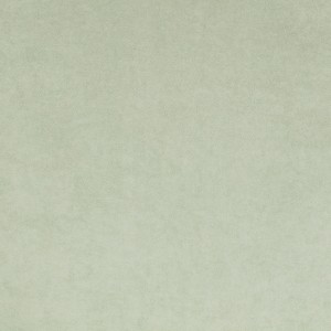 Tkanina kirkbydesign 186 Crush III ze wzorem Płótno