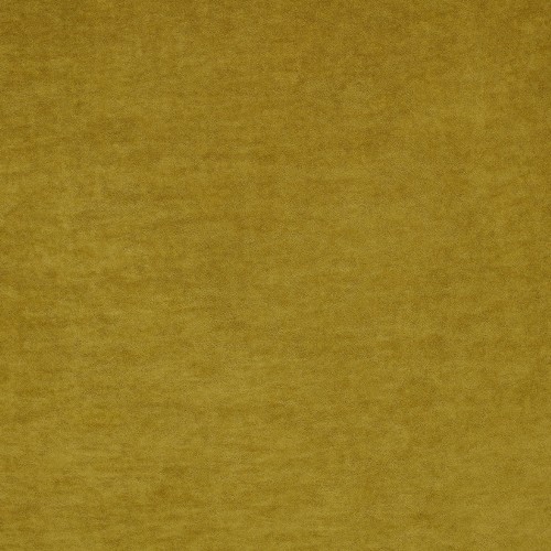 8019419f0aa760bd8d9aa253a83ff729