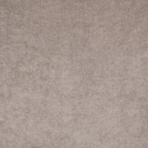 e53489fab639c7078c99365a77218f26