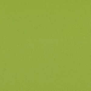 Tkanina kirkbydesign 79 Dakota Suede II ze wzorem Płótno