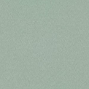 Tkanina kirkbydesign 85 Dakota Suede II ze wzorem Płótno