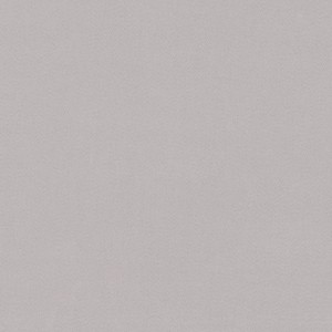 Tkanina kirkbydesign 99 Dakota Suede II ze wzorem Płótno