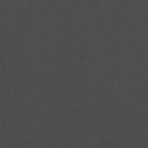 Tkanina kirkbydesign 101 Dakota Suede II ze wzorem Płótno