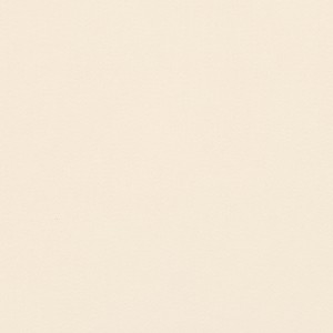 Tkanina kirkbydesign 111 Dakota Suede II ze wzorem Płótno