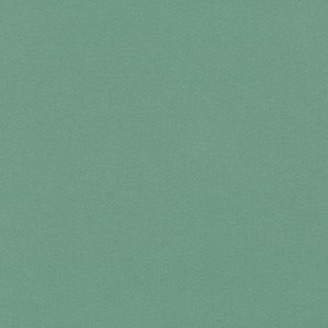 Tkanina kirkbydesign 113 Dakota Suede II ze wzorem Płótno