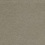 Tkanina kirkbydesign 02 Gobi ze wzorem Tekstura