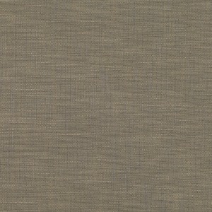 Tkanina kirkbydesign 41 Hue ze wzorem Płótno