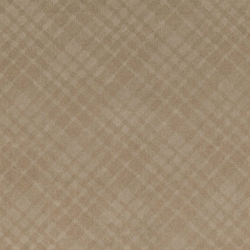 a164002764167e8b85fea5ff8e5bc300