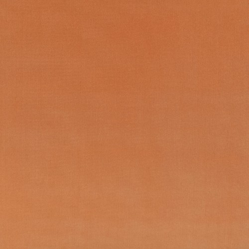 2fae1a7e251c316967758314718420b4