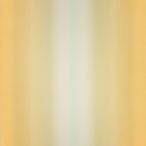 Tkanina Graphic Nature 01 Dip ze wzorem Gradient