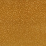 Tkanina Graphic Nature 04 Pop ze wzorem Tekstura