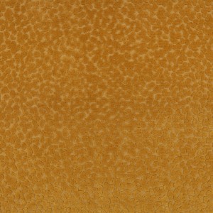 Tkanina Graphic Nature 04 Pop ze wzorem Tekstura