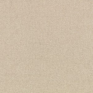 Tkanina Graphic Nature 06 Arenite ze wzorem Tekstura