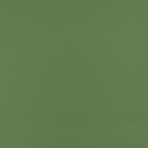 Tkanina kirkbydesign 122 Laser Eco ze wzorem Płótno