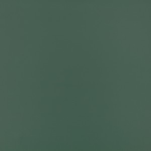 Tkanina kirkbydesign 124 Laser Eco ze wzorem Płótno