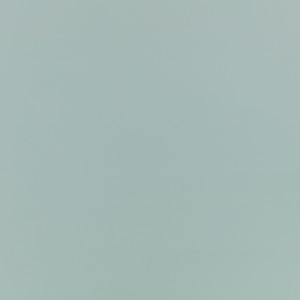 Tkanina kirkbydesign 129 Laser Eco ze wzorem Płótno