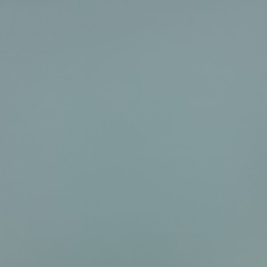 Tkanina kirkbydesign 67 Laser Eco ze wzorem Płótno